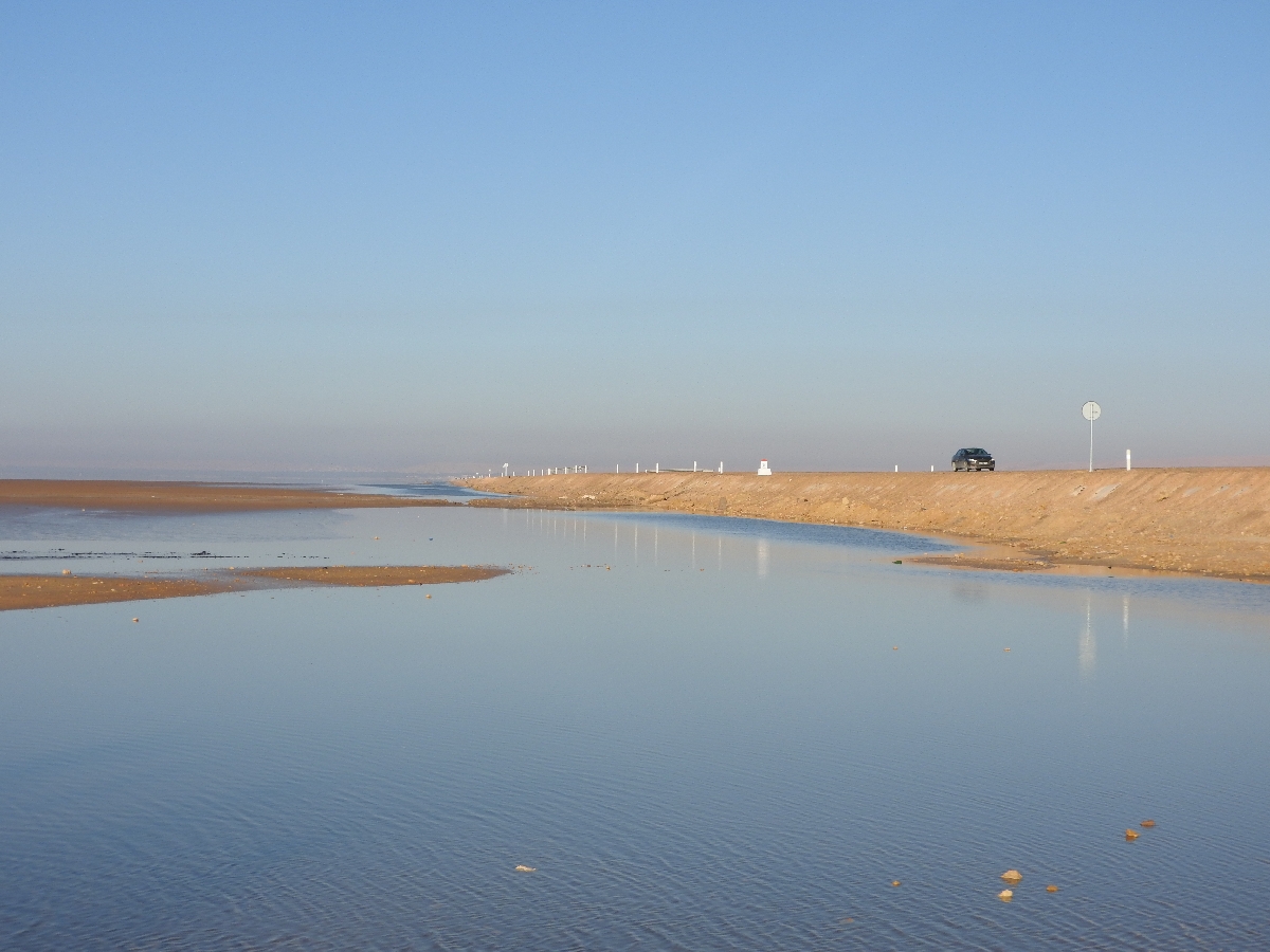 31 Chott el Jarid Lago Salato